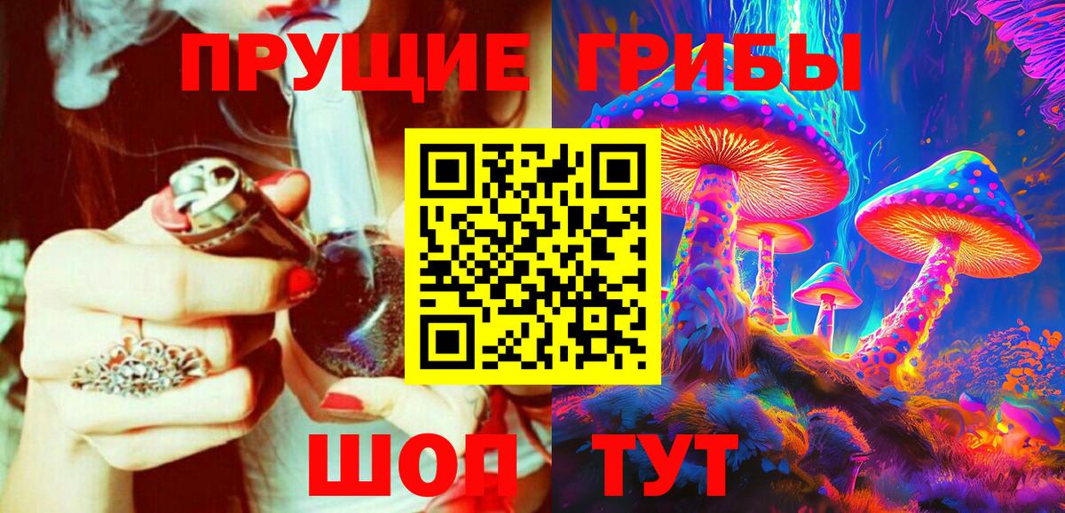 Псилоцибиновые грибы Psilocybine cubensis Печора