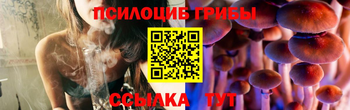 Псилоцибиновые грибы мицелий  Вход с VPN  Печора 